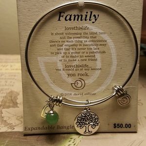 Love This Life - "Family" Stainless Steel Bangle